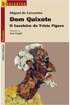 Dom Quixote: o Cavaleiro da Triste Figura, Série Reencontro