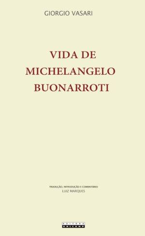 Vida de Michelangelo Buonarroti