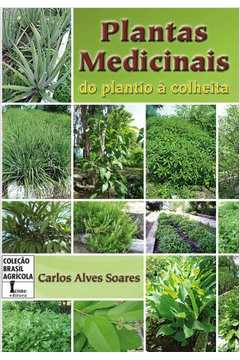 Plantas Medicinais : Do Plantio À Colheita