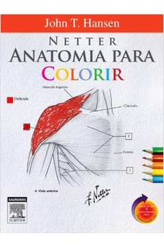 Netter Anatomia para colorir
