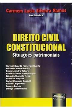Direito Civil Constitucional - Situações Patrimoniais