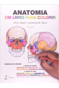 Anatomia - um livro para colorir
