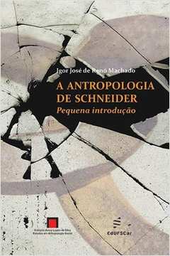A antropologia de Schneider : pequena introdução